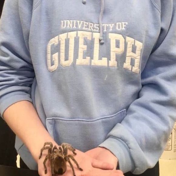 Meet your Posher, Linnea - Picture 1 of 1